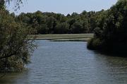 275-Delta del Danubio,7 agosto 2011
